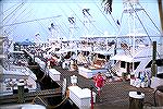 View of sport fishing boats at Sunset Grille in West Ocean City.