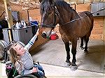 Young girl meets one of the Ocean City police horses at the Bayside Equestrian Center open house.