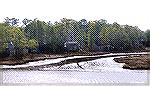Extreme low tide on March 14, 2022. Jakes Gut off Manklin Creek is nearly drained out. Such extreme lows were fairly common in winter until about five or so years ago. 