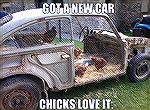 Chicks love this Car