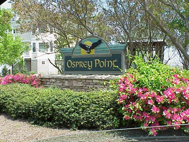 Osprey Point