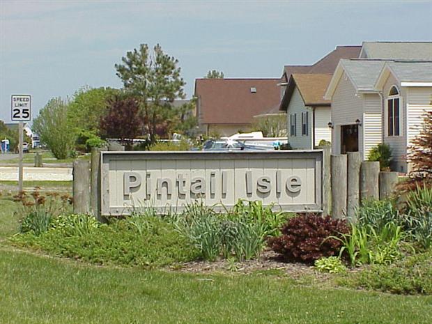 Pintail Isle