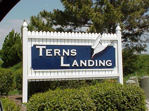 Terns Landing