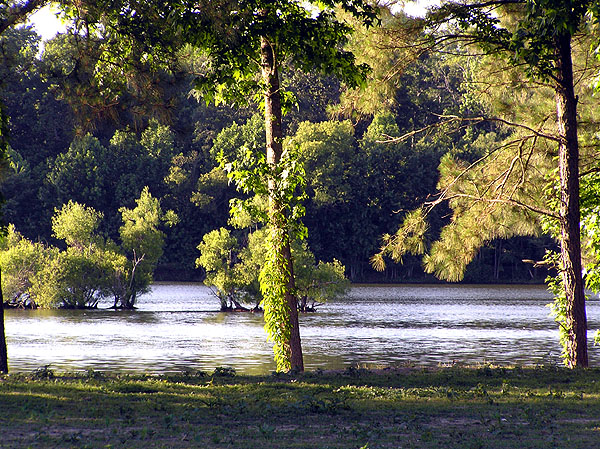 South Gate Pond