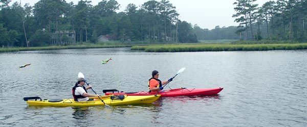 Kayakers