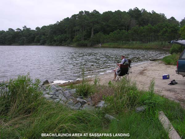Sassafras Landing Kayak Launch