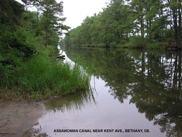 Assawoman Canal, Bethany, DE