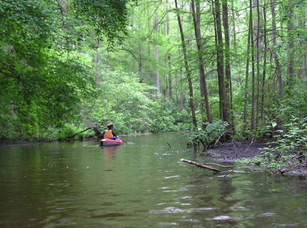 Kayaking Near Trap Pond