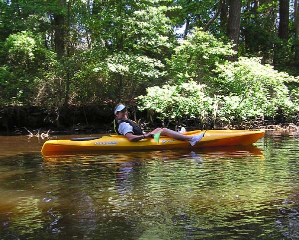 Tough Life on the Assawoman Canal