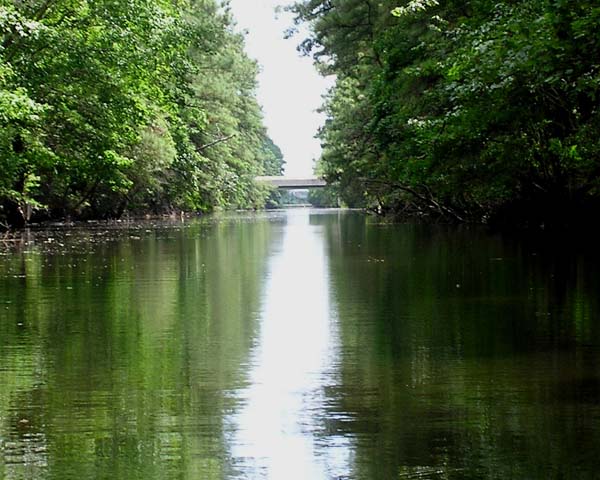 Assawoman Canal Ideal for Kayak
