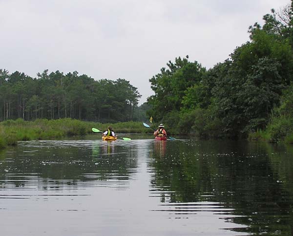 In Assawoman Wildlife Area