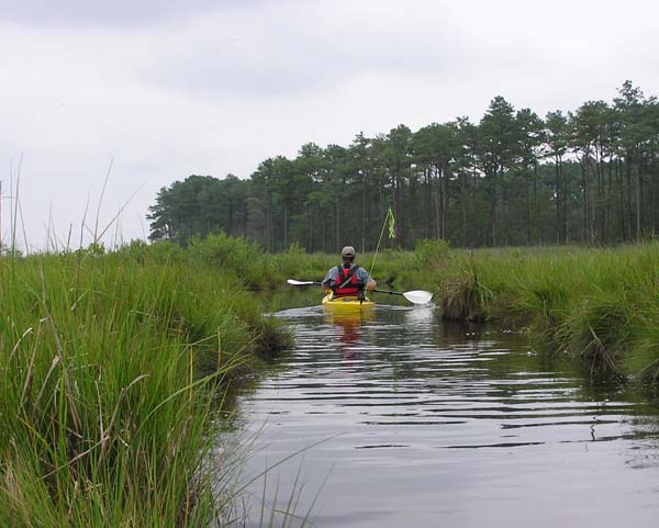 Kayaker in Assawoman WA