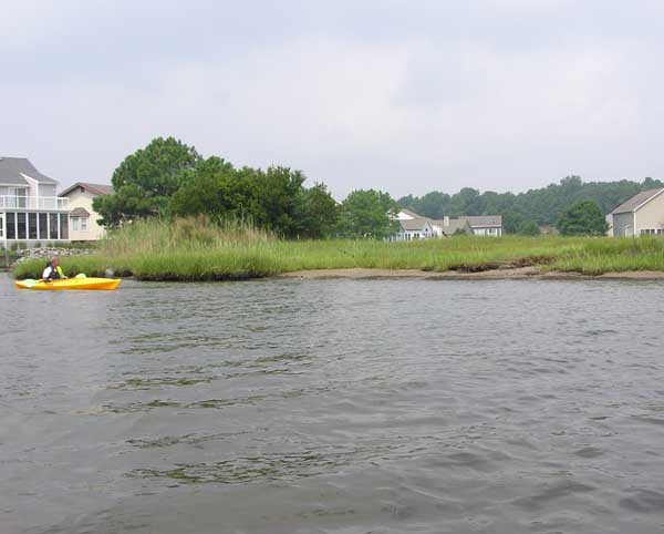 Wood Duck Park in OP