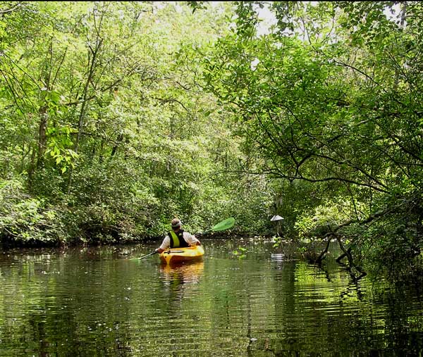 Peaceful Corker's Creek