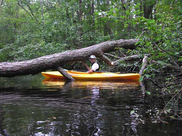 Speed Bump on Corker's Creek