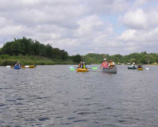 Paddlers on Turville Creek