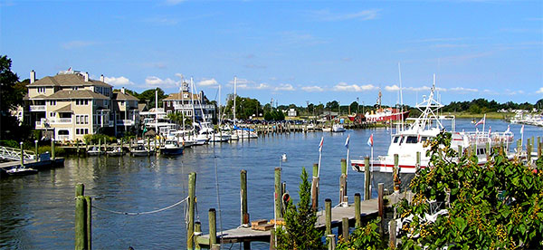 Lewes Harbor