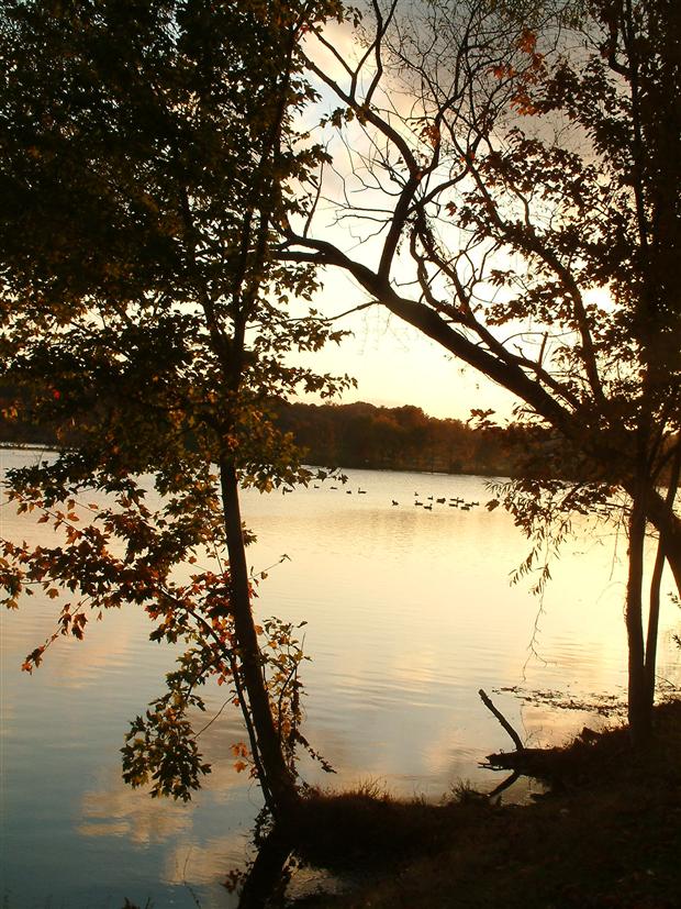 South Gate Pond