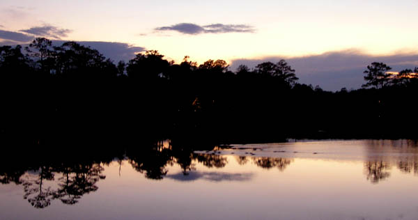 Manklin Creek Dusk 1