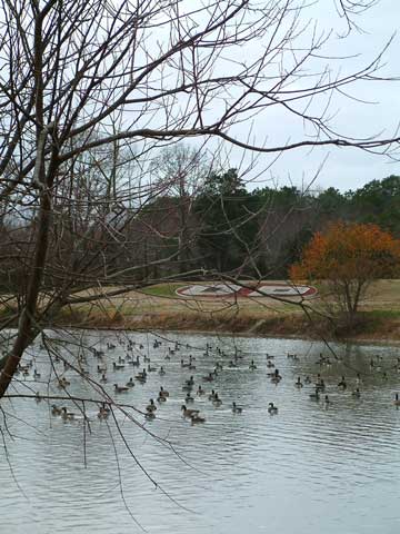 North Gate in December