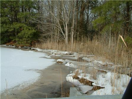 Gum Point Road Creek