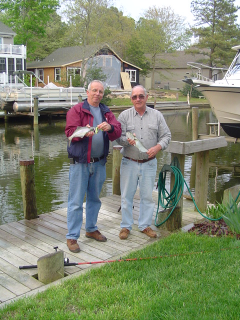 Blues caught in OP canals