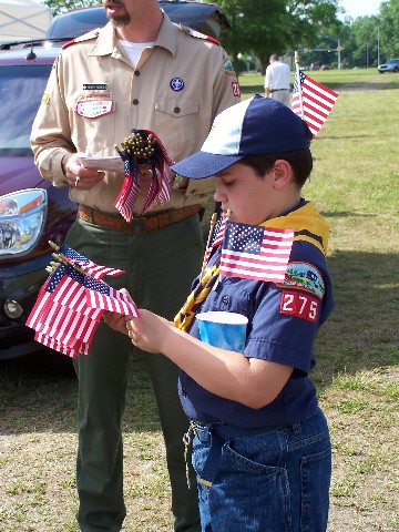 Cub with Flags