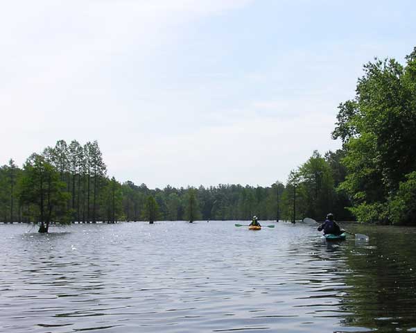 Paddling on Trap Pond