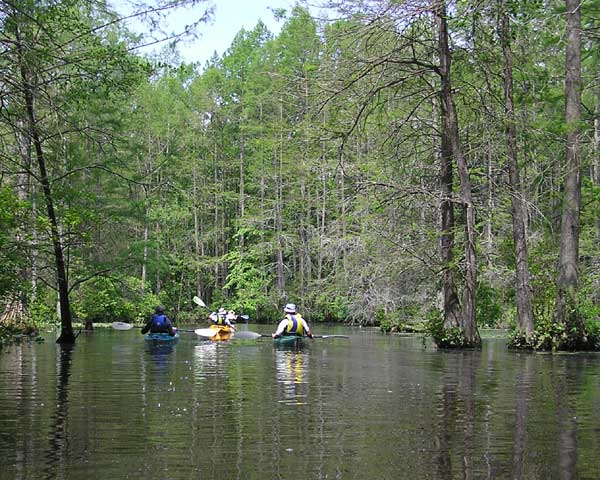 Stream Above Trap Pond