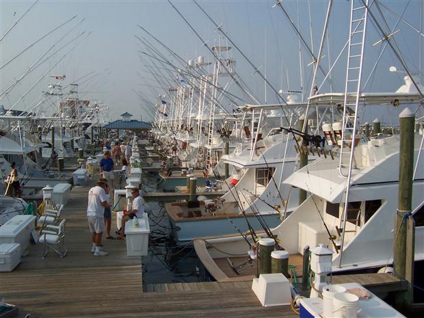 White Marlin Open