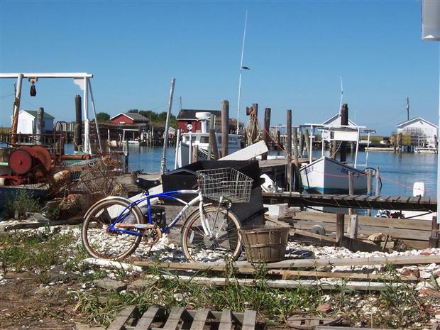 Tangier Island Bike