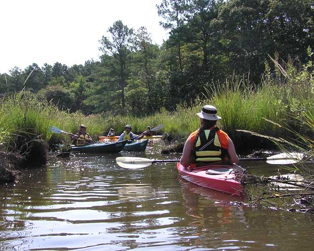 Kayakers on Herring Creek