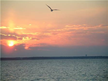 A Fager's Island Sunset