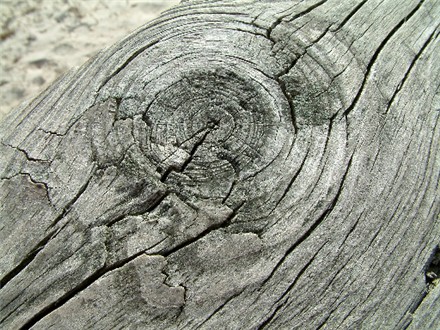 Weathered Wood