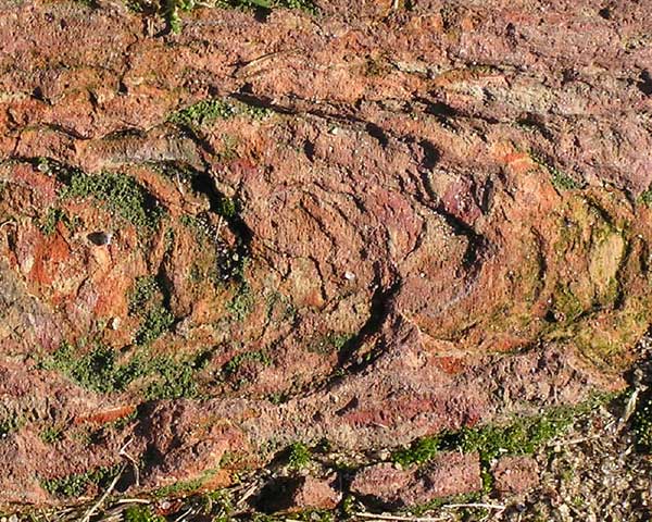 Weathered Brick