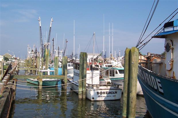 Commercial Fishing Boats