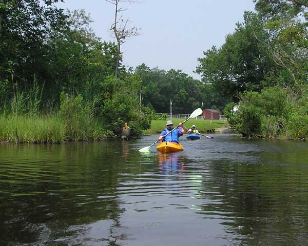 Kayaks on Massey Branch