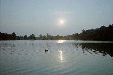 South Gate Pond