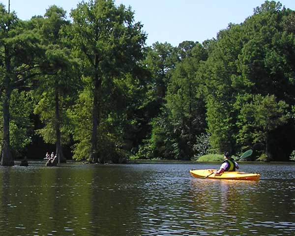 Trussum Pond