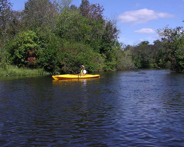 Pocomoke River