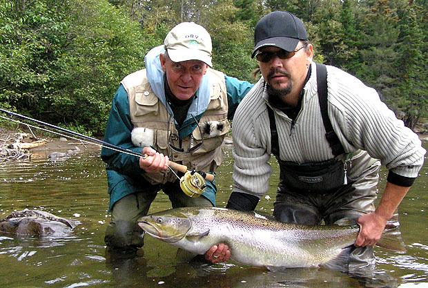 Cascapedia Salmon