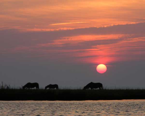 Assateague Sunset