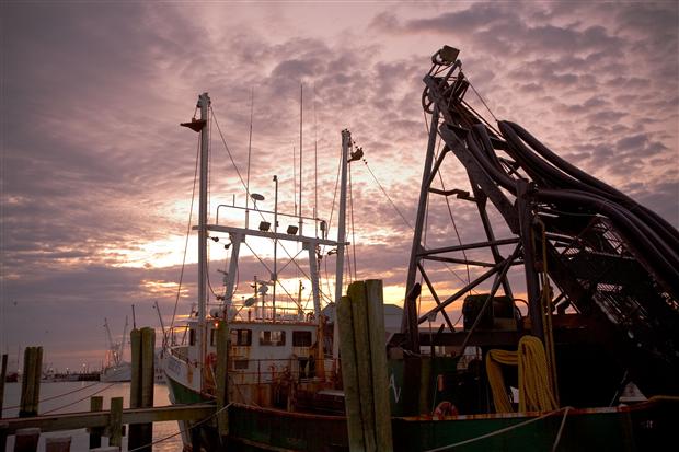 Harbor Sunrise