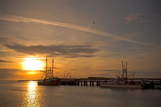 Harbor Sunrise