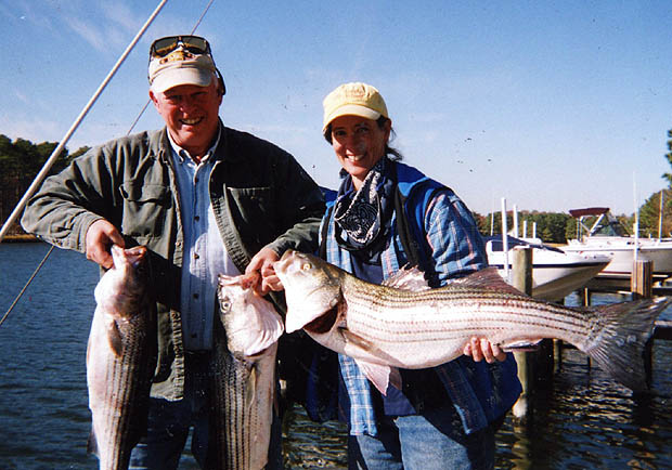 Stripers