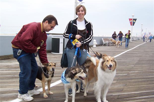 Boardwalkin for  Humane Society