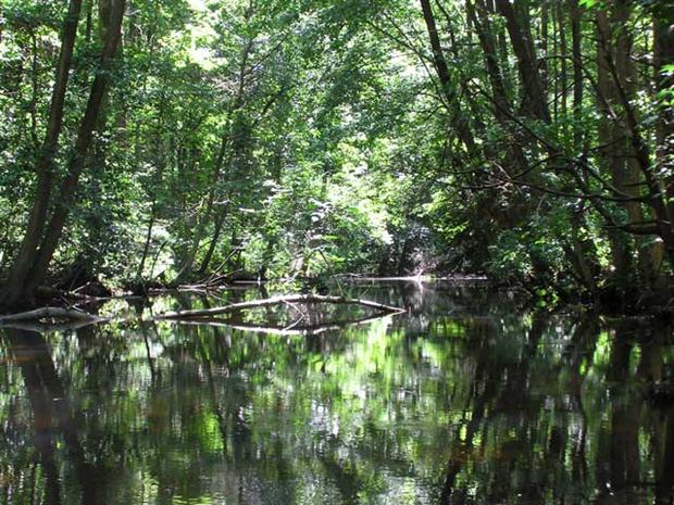 On the James Branch