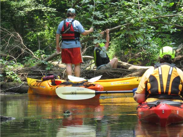 Over the Log Jam