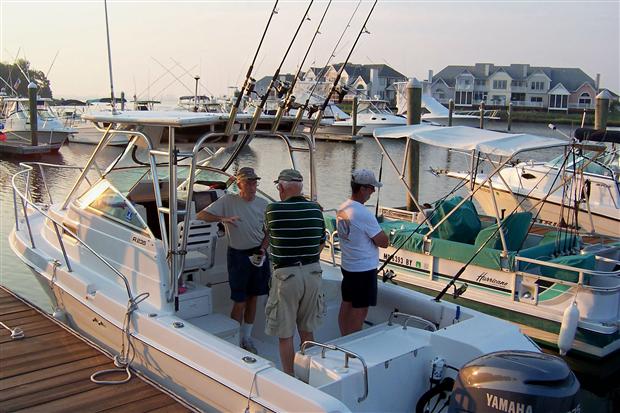 Flounder Tournament Preparation