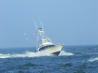 White Marlin Open 2007